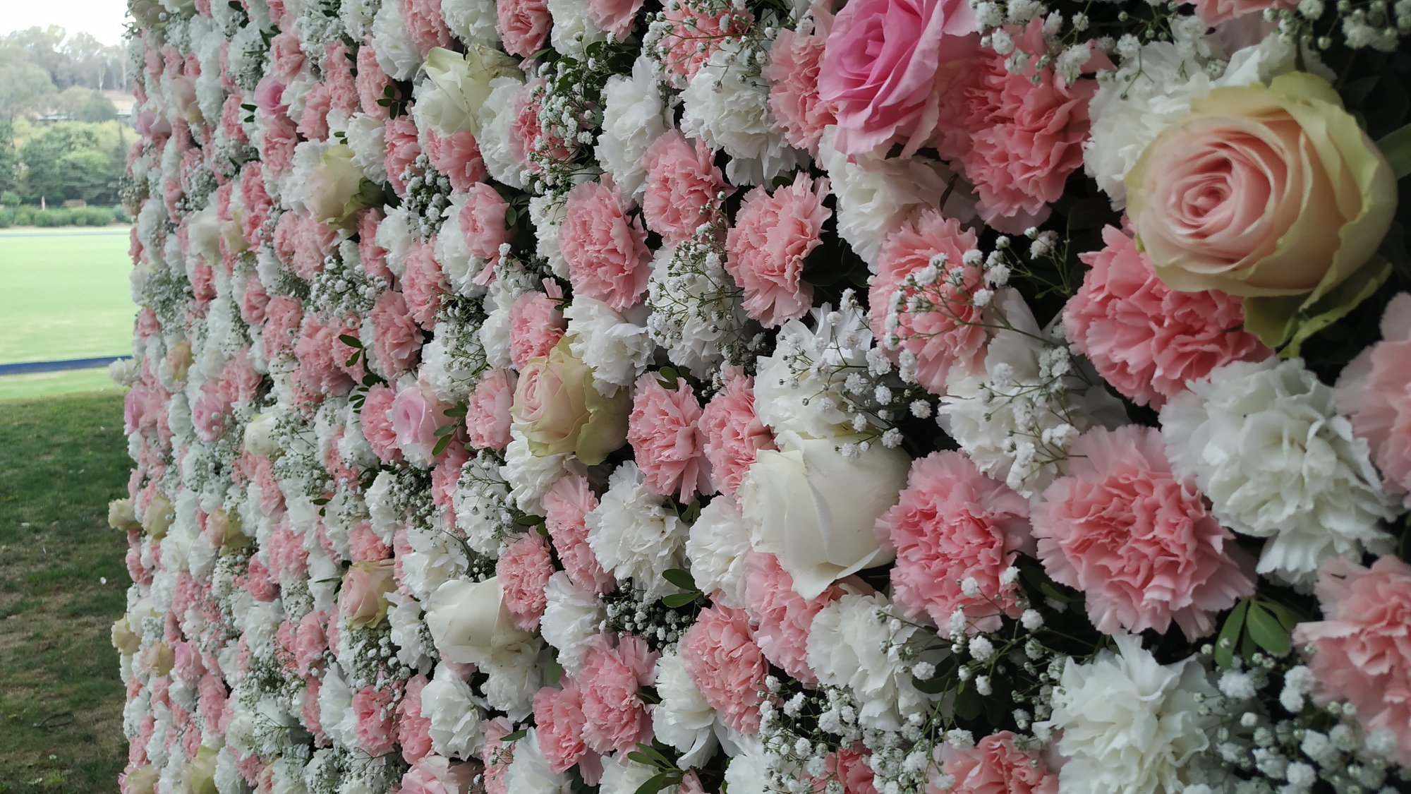 Real flower wall Marbella